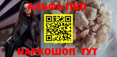 молекула духа Кингисепп
